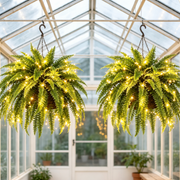 Glowing Boston Ferns with Lights –  Zero Watering, Zero Maintenance