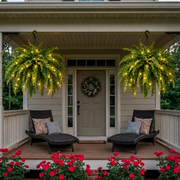 Glowing Boston Ferns with Lights –  Zero Watering, Zero Maintenance