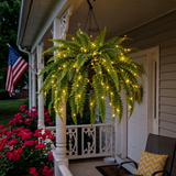 Glowing Boston Ferns with Lights –  Zero Watering, Zero Maintenance