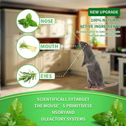 12 Pack Peppermint Pest Repellent Balls - Mice Rats Spiders Gone! ✅