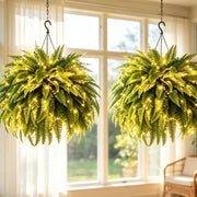 Glowing Boston Ferns with Lights –  Zero Watering, Zero Maintenance