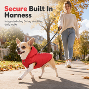 🐕 50% OFF! ✨ Hooded Dog Coat – Windproof Outer Layer. Thick Polar Fleece Lining & Built-In Harness Ring – Cozy Winter Protection for Small & Medium Pets 🧥